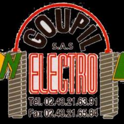 Electro Diesel Goupil