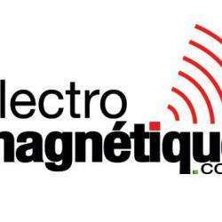 Electro Magnétique