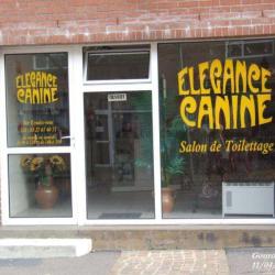 Elégance Canine