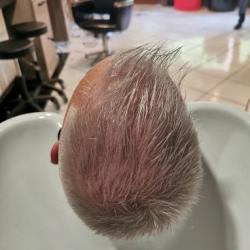 Elegance Coiffure