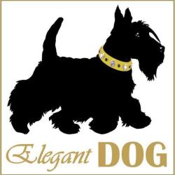 Elegant Dog