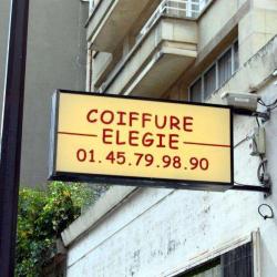 Elegie (eurl)
