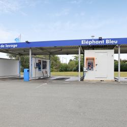 Elephant Bleu