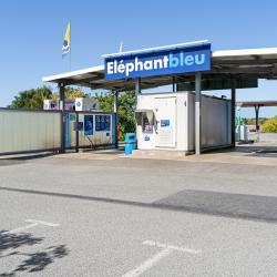 Elephant Bleu