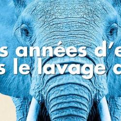 Eléphant Bleu
