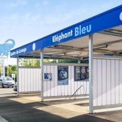 Eléphant Bleu
