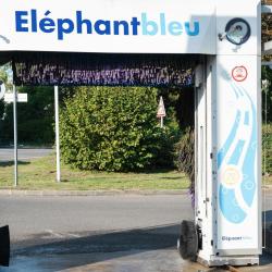 Eléphant Bleu