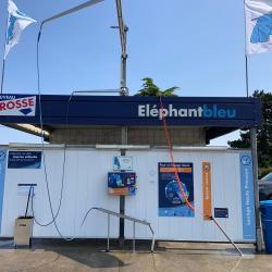 Eléphant Bleu