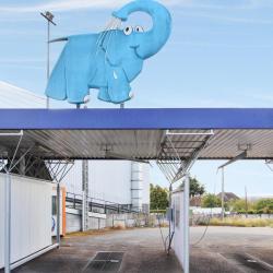 Eléphant Bleu