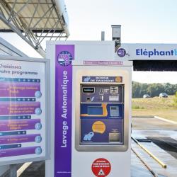 Eléphant Bleu