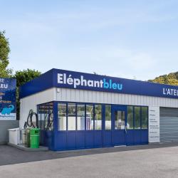Eléphant Bleu