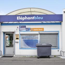 Eléphant Bleu
