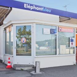 Eléphant Bleu
