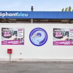 Eléphant Bleu