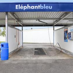 Eléphant Bleu