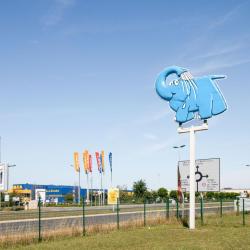 Eléphant Bleu