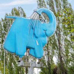 Eléphant Bleu