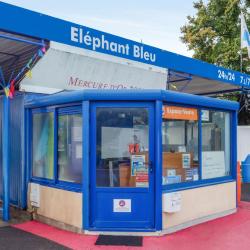 Eléphant Bleu