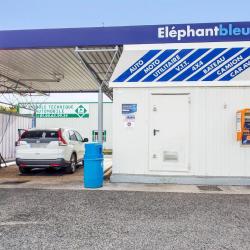 Eléphant Bleu