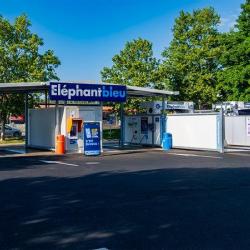 Eléphant Bleu
