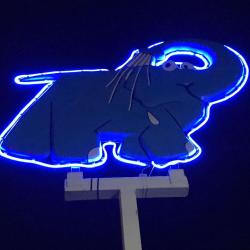 Eléphant Bleu