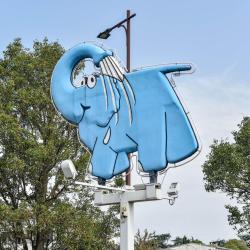 Eléphant Bleu