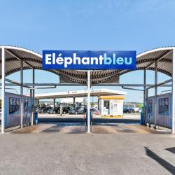 Eléphant Bleu