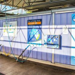 Eléphant Bleu