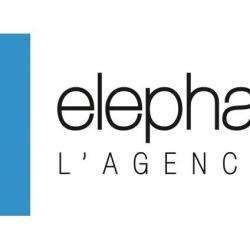 Elephantus