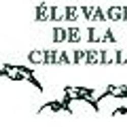 Elevage De La Chapelle