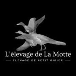 Elevage De La Motte