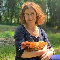 Elevage De La Prairie / Poule A Dom