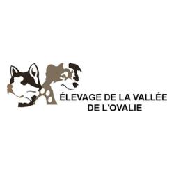Elevage De La Vallée De L'ovalie