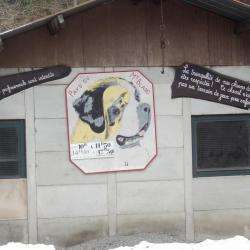 Elevage De Saint Bernard