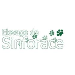 Auberge Canine Et Feline Des Perreaux