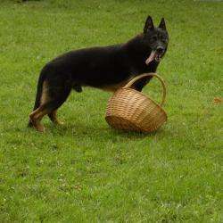 Elevage Des Volcans D'arés