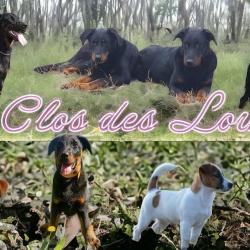 élevage Du Clos Des Loutres