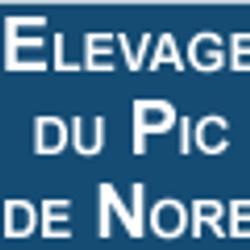 Elevage Du Pic De Nore