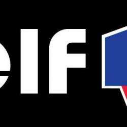 Elf Station Contact