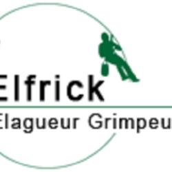 Elfrick, élagueur Grimpeur Du 37