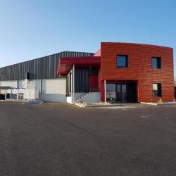Elisabeth Courses