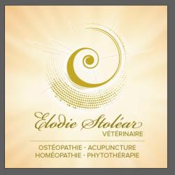 Elodie Stoléar Ostéopathie Veterinaire