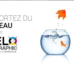 Elographic