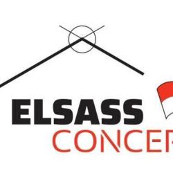 Elsass Concept