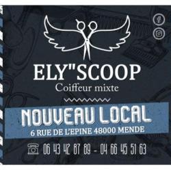 Ely Scoop