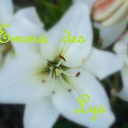 Emma Des Lys