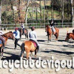 Poney Club De Vigoulet Sce