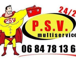 Ent Psv Multiservices