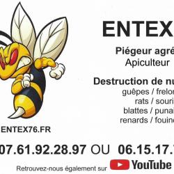 Entex76
