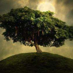 Entre Ciel Et Terre